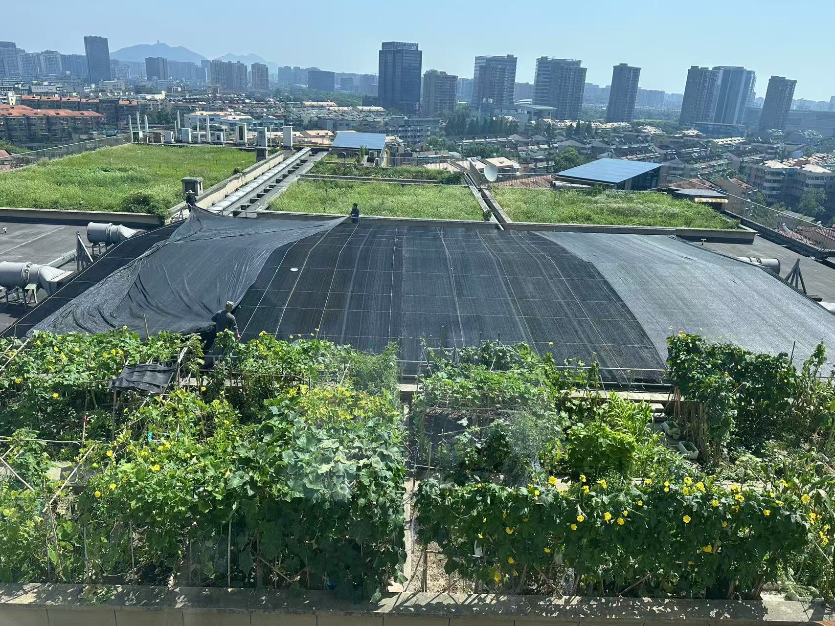 水晶城巧施”遮阳术“，为节能降耗注入清凉动力